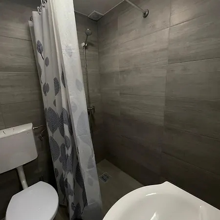 Pensiunea Denisa & Madalina Guest house Belis