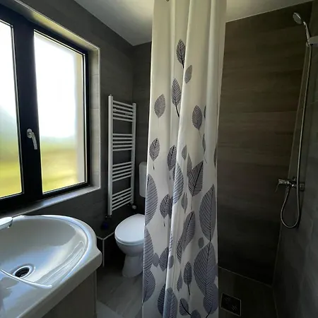 Pensiunea Denisa & Madalina Guest house *