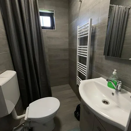 Pensiunea Denisa & Madalina Guest house Belis