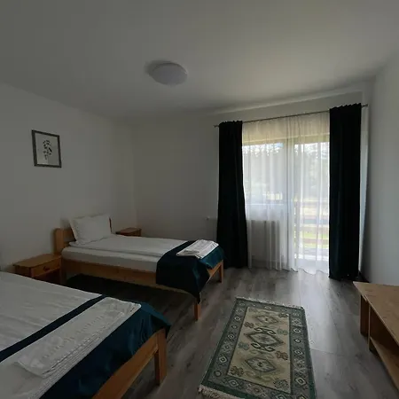 Guest house Pensiunea Denisa & Madalina Belis